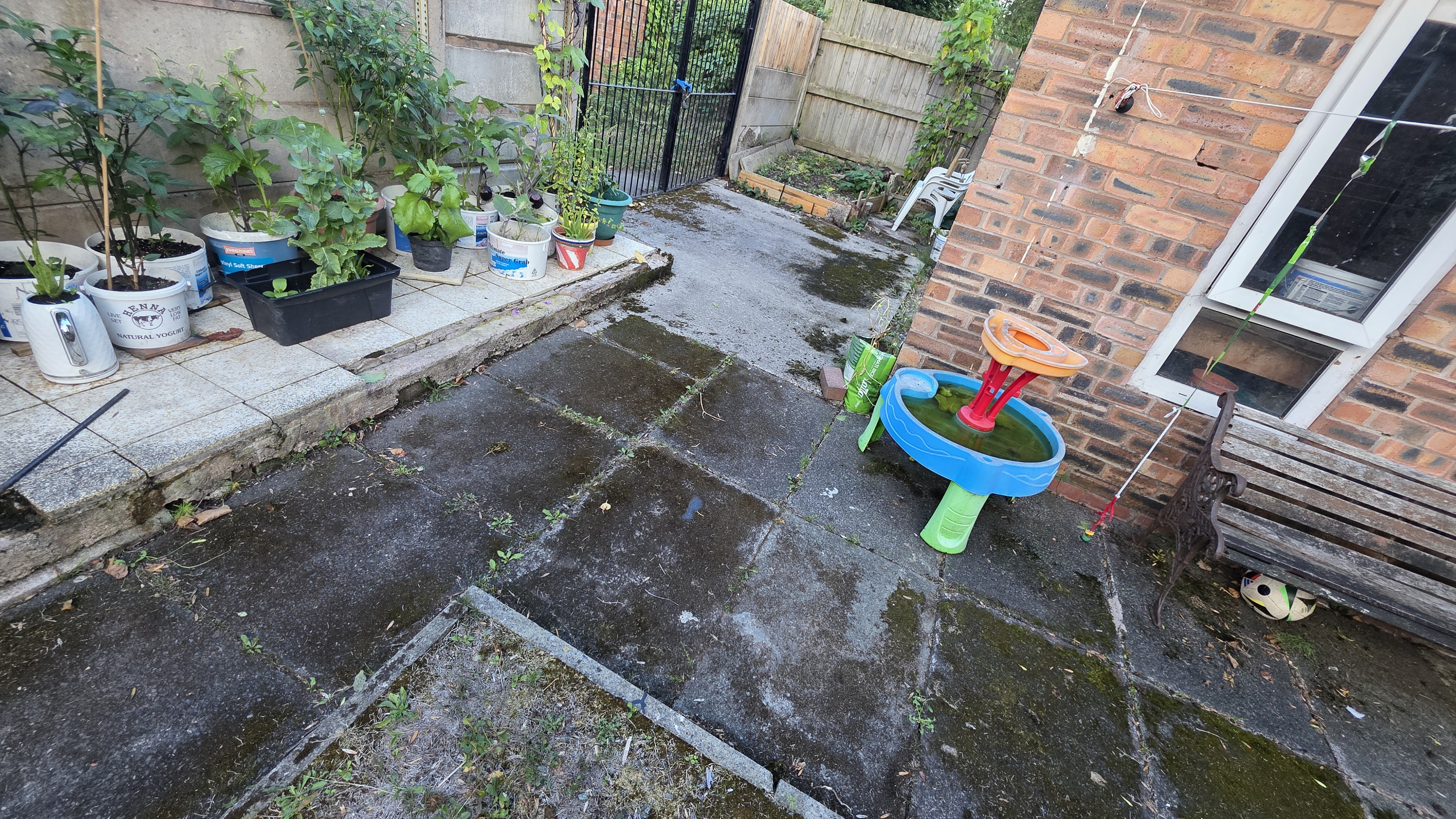 Moss and weed infested paving and concrete